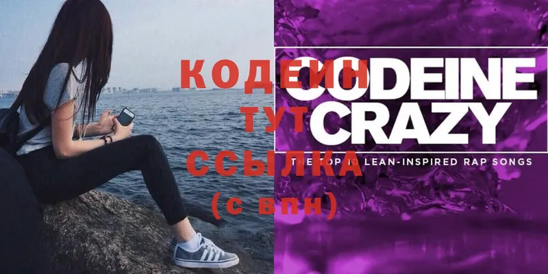 Кодеиновый сироп Lean Purple Drank  Заводоуковск 